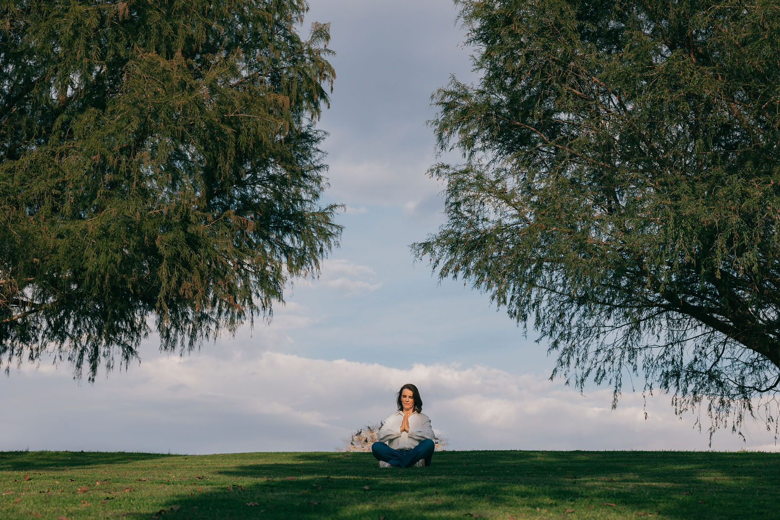 Meditación bajo el árbol